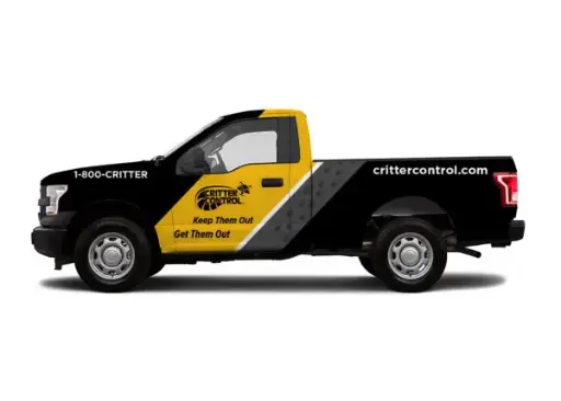 CC - Vehicle Wrap